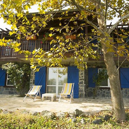 Villa Art Provence House à Lozenets Extérieur photo
